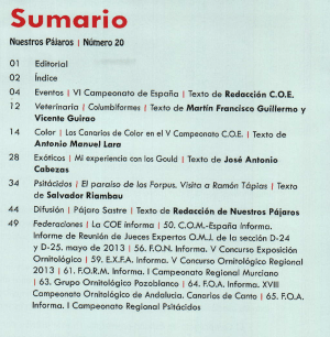 SUMARIO
