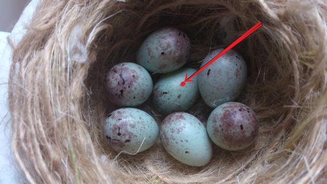 Foto Juan Carlos Blanco