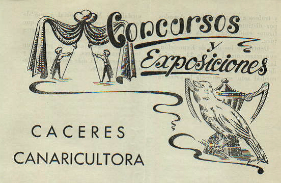 caceres canaricultora