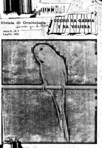 Giornale degli Uccelli 1959