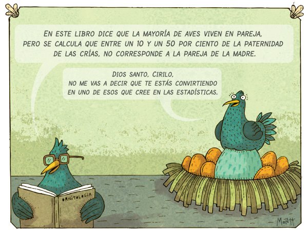 chistes-de-pajaros