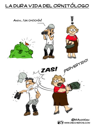 la-dura-vida-del-ornitoogo-color