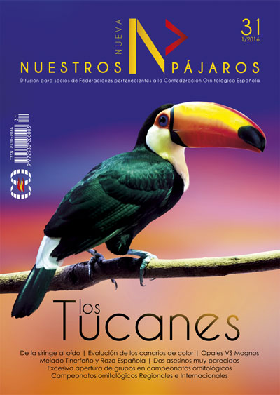 Nueva Nuestros pájaros nº 31