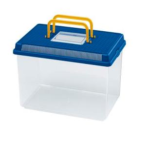 fauna_box_papilleros