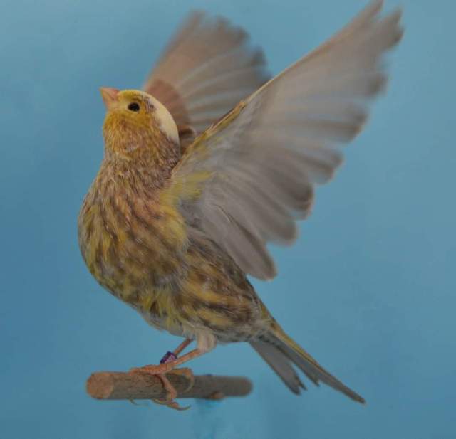 FB_IMG_1630303328863