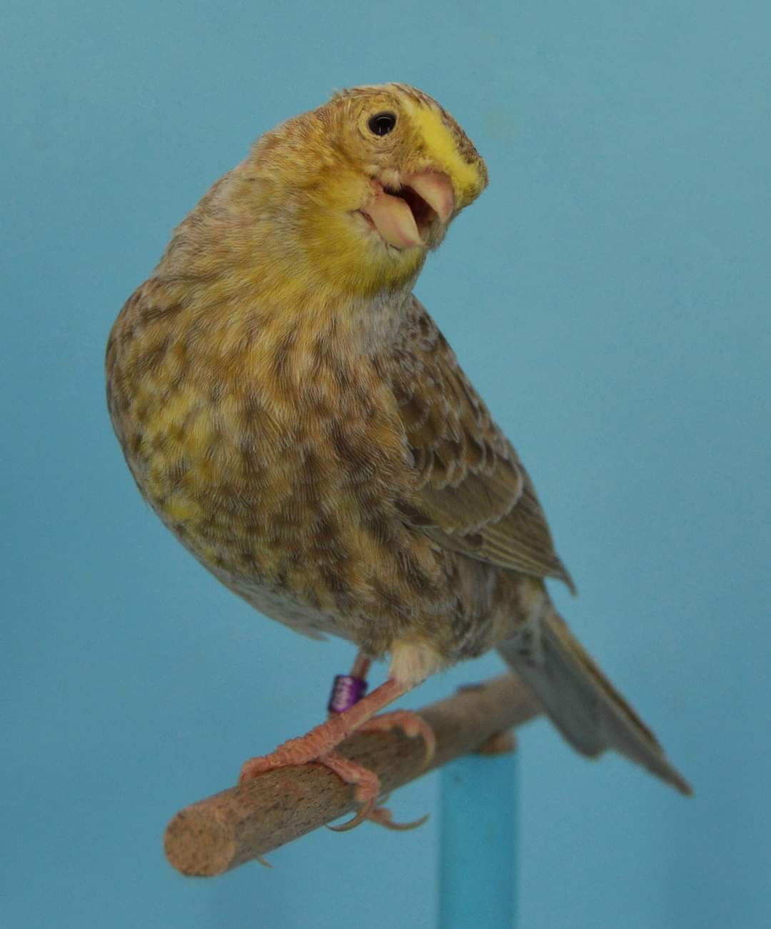 FB_IMG_1630303358495