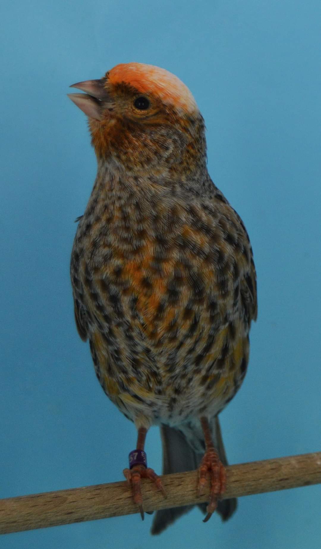 FB_IMG_1630303407118