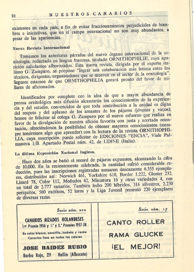 UNA NUEVA UNION INTERNACIONAL 1