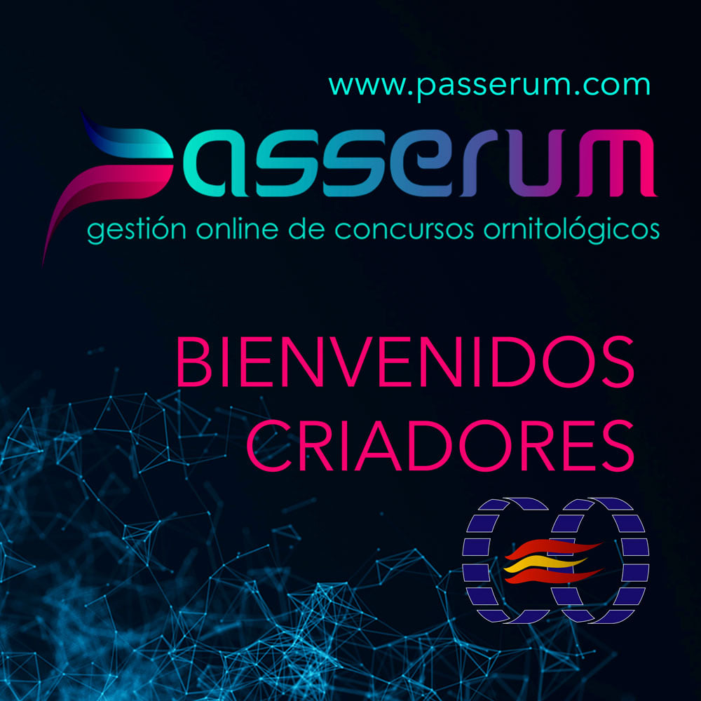 241045809_282969843703671_7493631115794224021_n