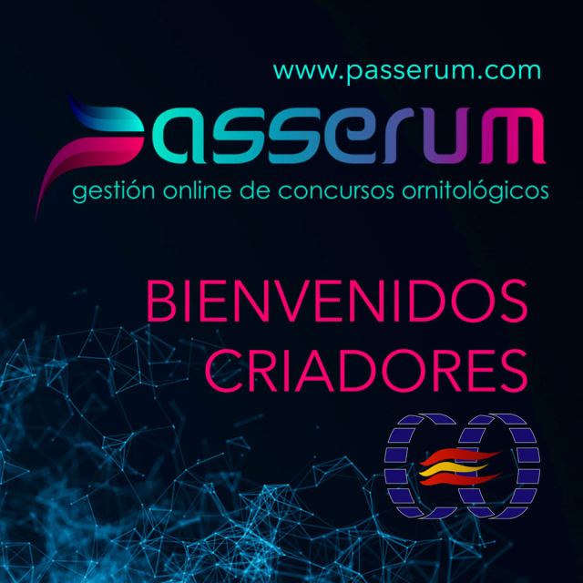 241045809_282969843703671_7493631115794224021_n