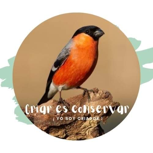 facebook_1632470736794_6847078541218070268