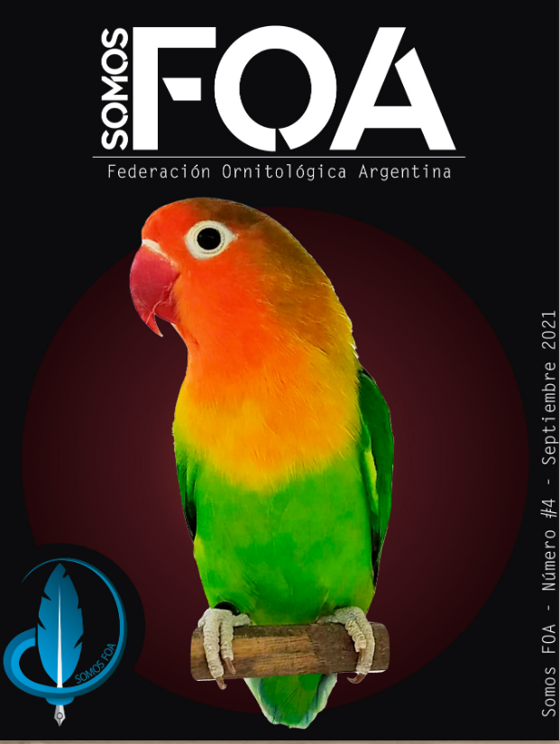 FOA 4