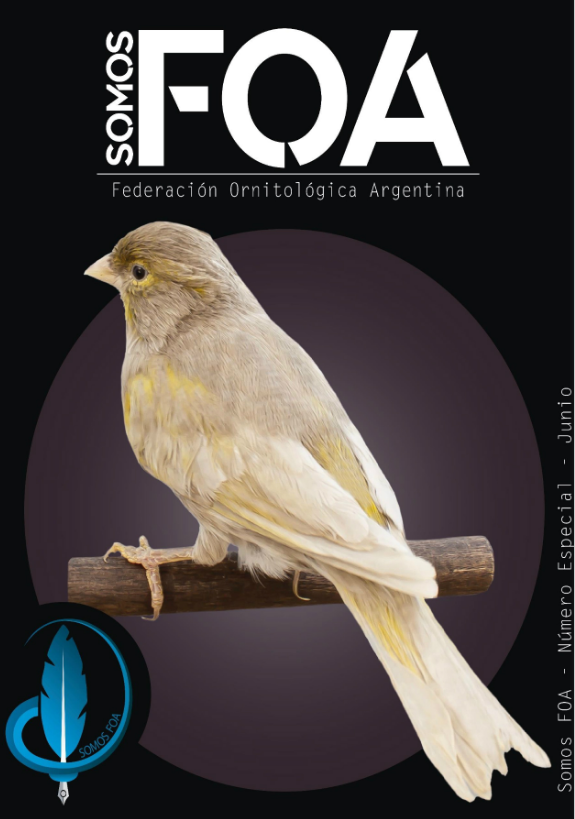 FOA EDICION ESPECIAL