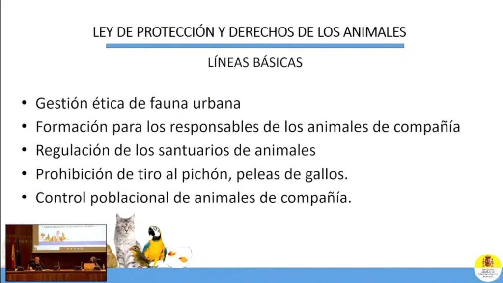 ley-de-bienestar-animal-1024x576.jpg