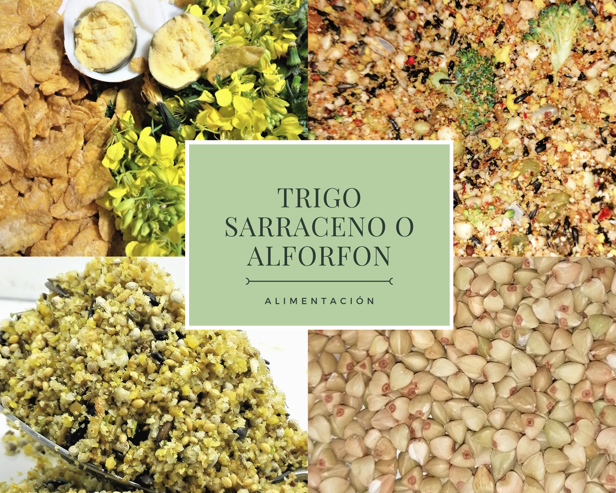 Green Engagement Mood Board Photo Collage