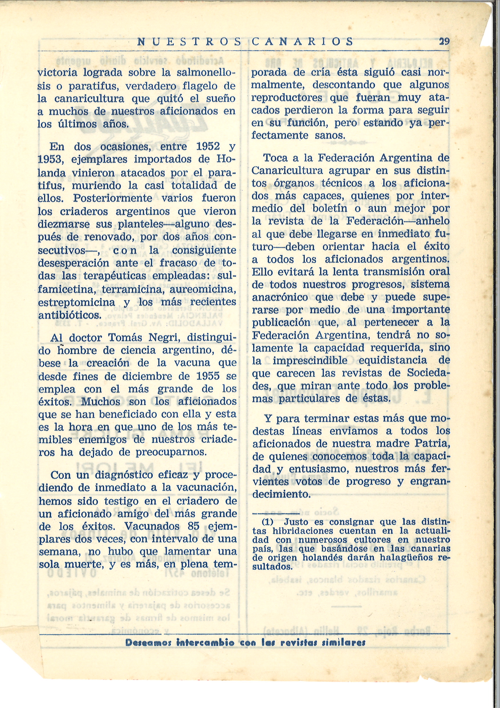 La canaricultura de color en Argentina. 3
