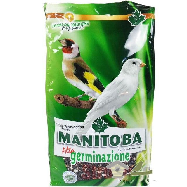 mixtura-germinacion-manitoba-