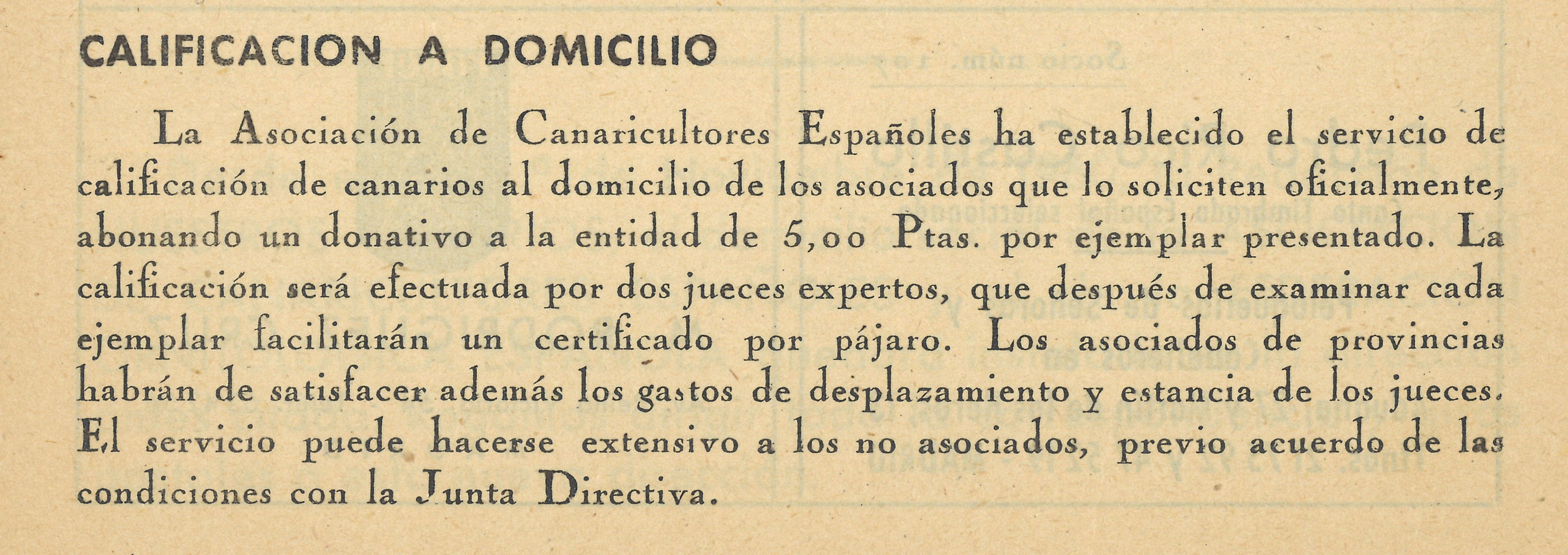 NUESTROS CANARIOS, 3º Trimestre de 1960