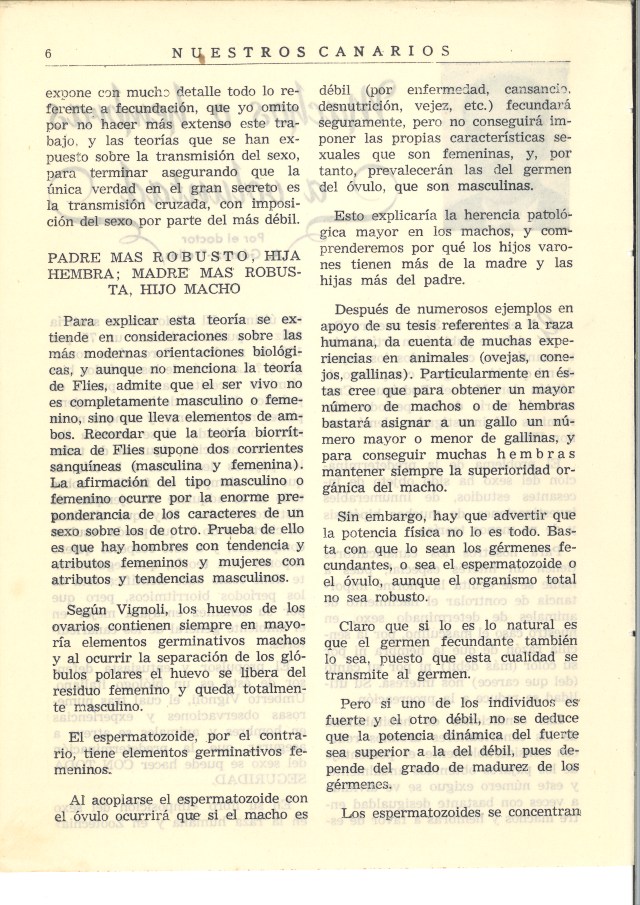 RPS01_AJ00 D_H_ Cáceres_2_1731_002