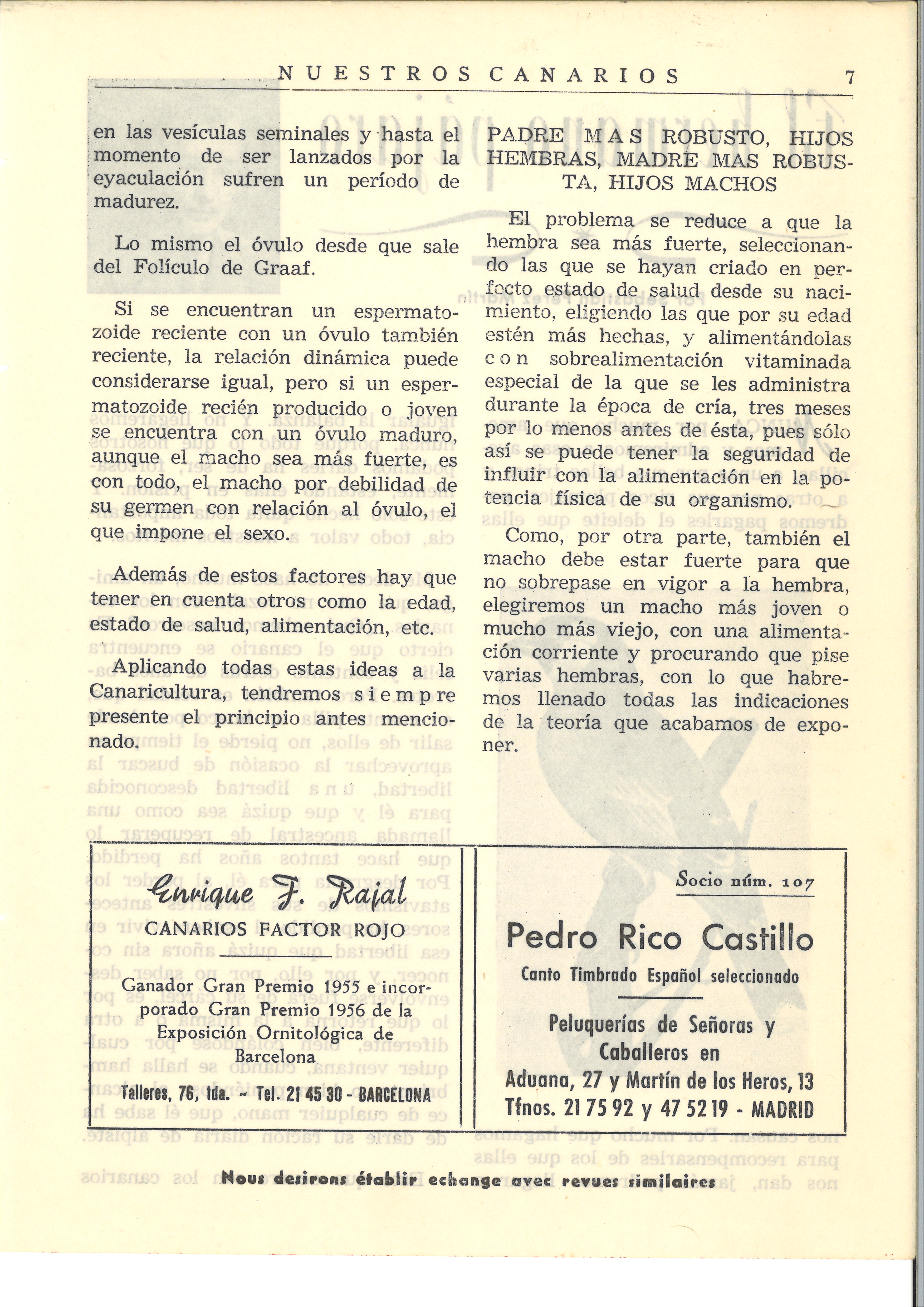 RPS01_AJ00 D_H_ Cáceres_2_1731_003