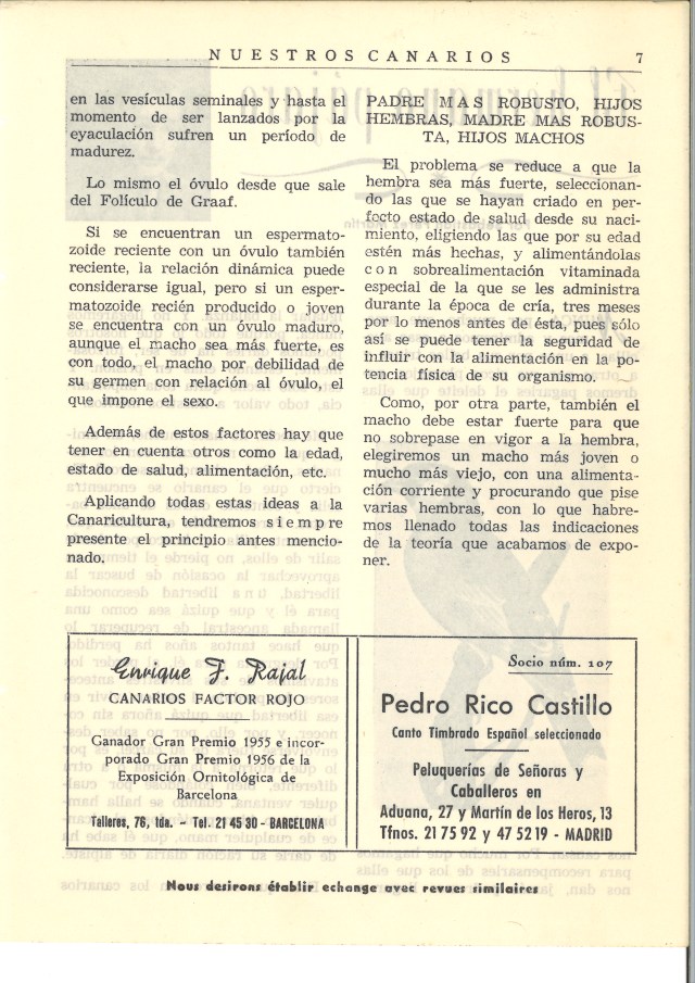 RPS01_AJ00 D_H_ Cáceres_2_1731_003