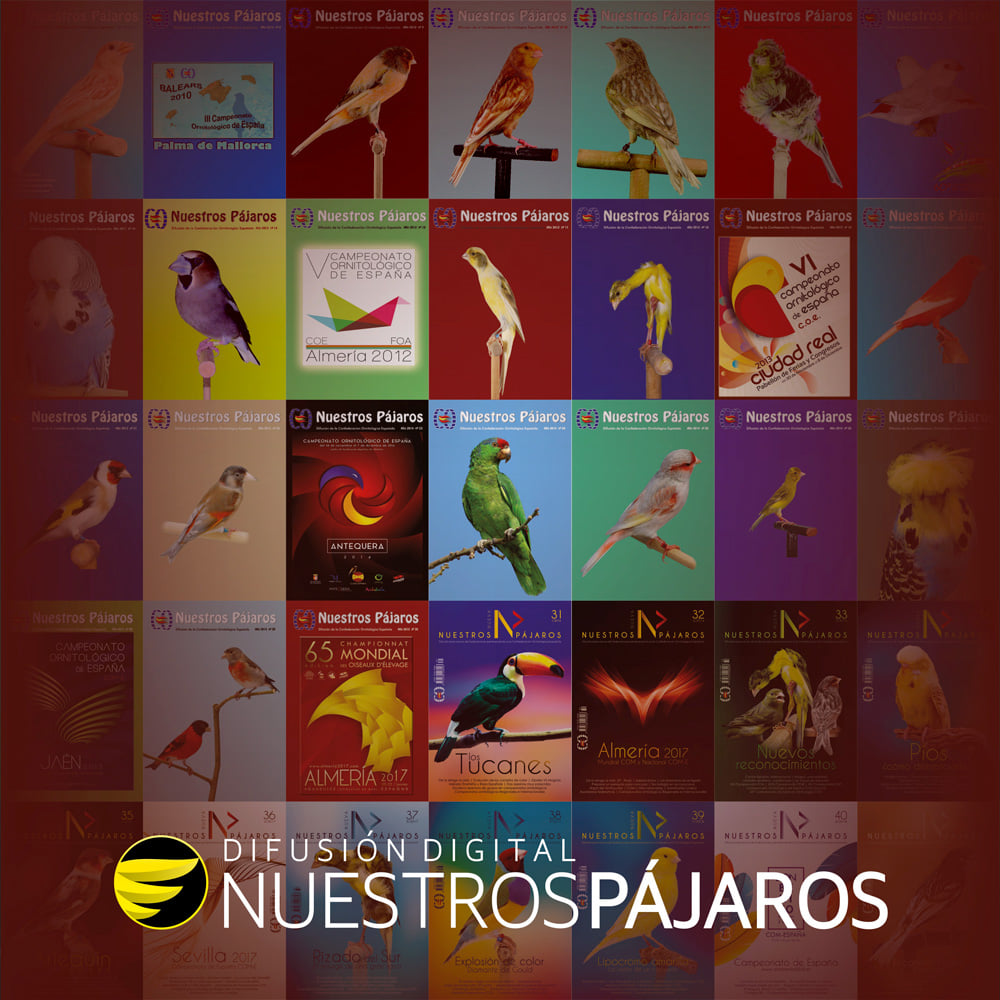 265002950_352594980074490_8885625321029110634_n