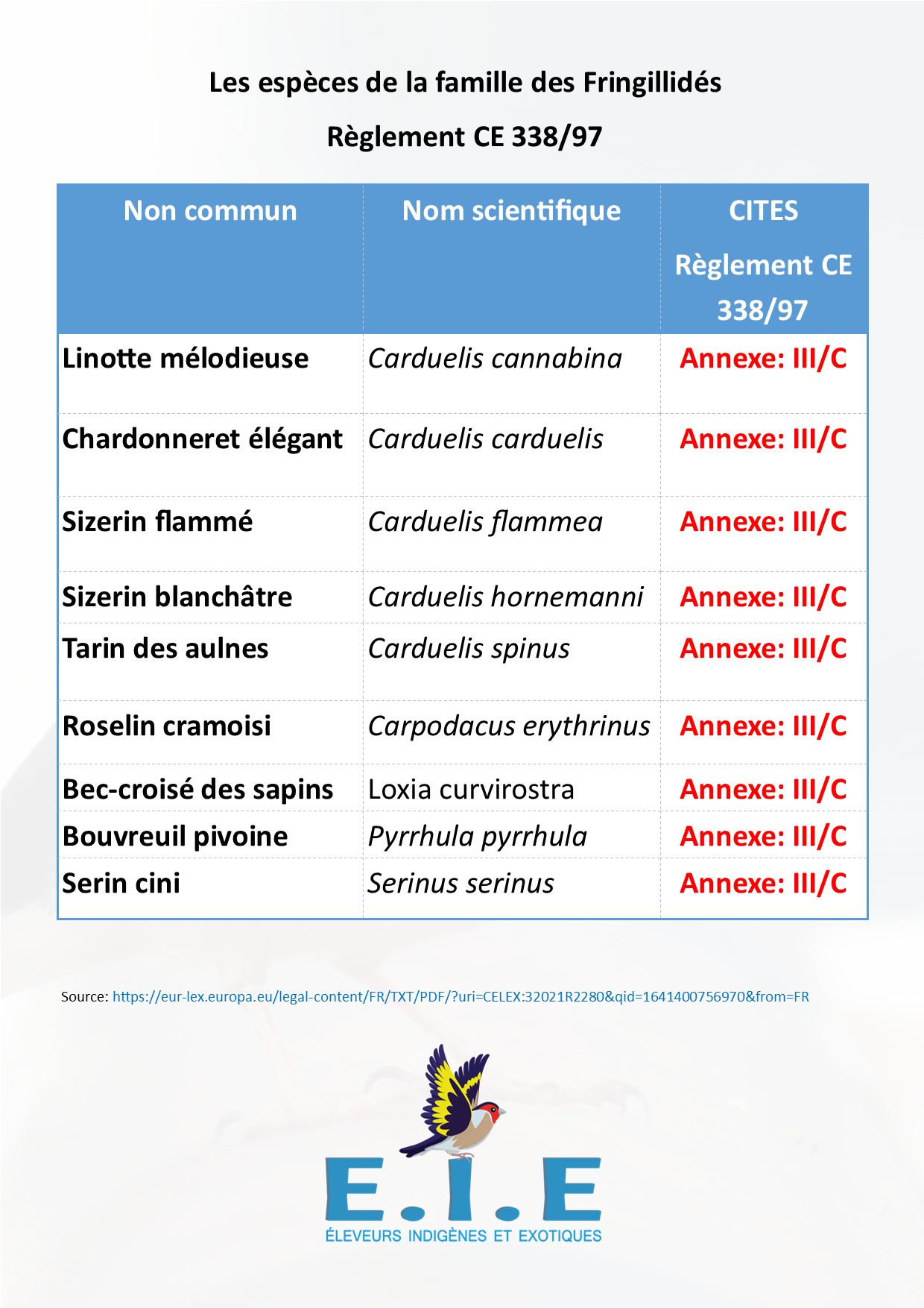 271134922_435581811546936_6717530175029018091_n