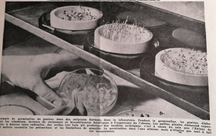 img_20220124_184932-1