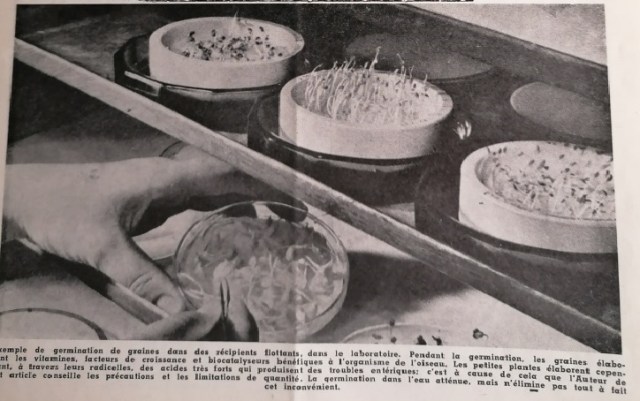 img_20220124_184932-1