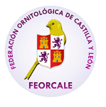 feorcale