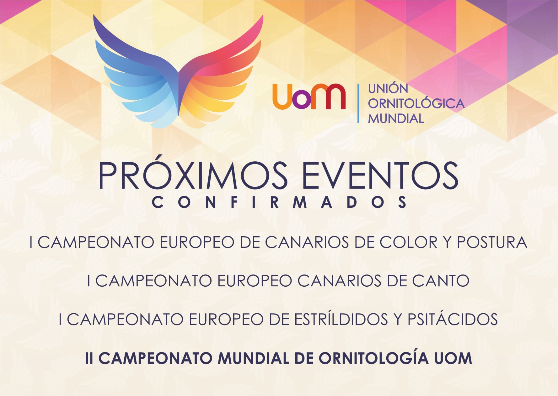 275082786_126204053308651_95122019251363762_n