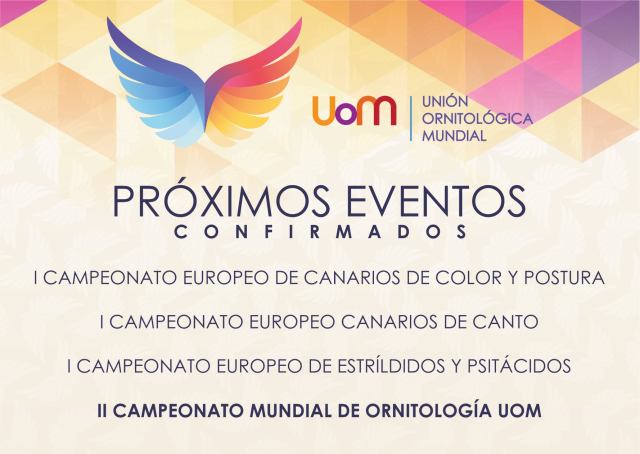 275082786_126204053308651_95122019251363762_n