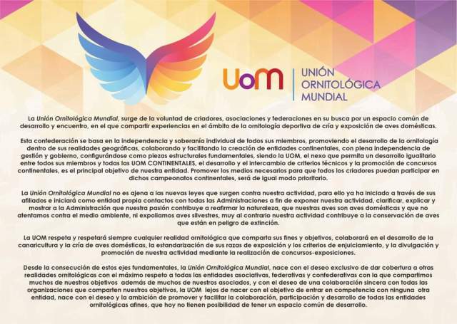 FB_IMG_1646737347332